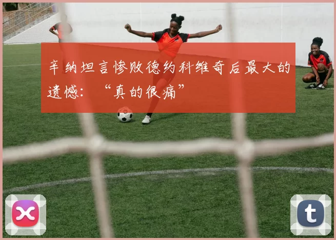 辛纳坦言惨败德约科维奇后最大的遗憾：“真的很痛”