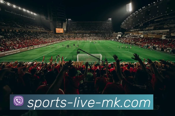 MK体育APP 封面图